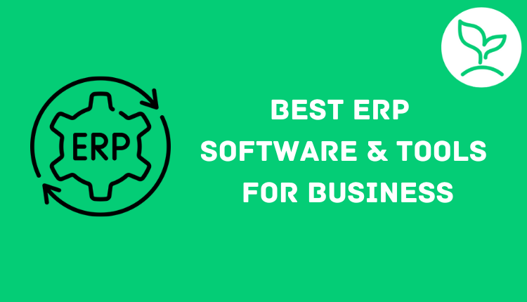 ERP software