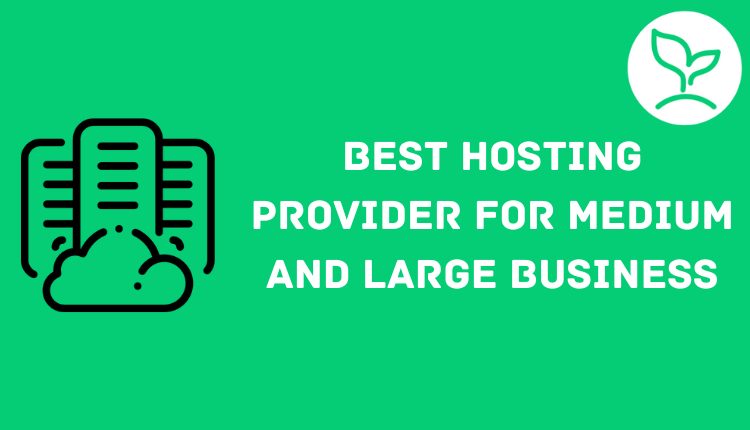 Best Hosting Provider For Medium And Large Business Guide Sprout